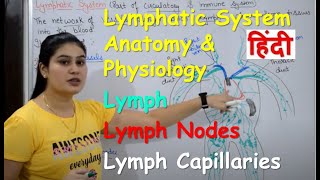 Lymphatic System in Hindi  Lymph  Lymph Nodes  Lymph Vessels  Anatomy amp Physiology [upl. by Aeirdna104]