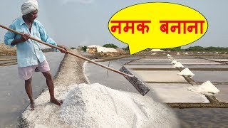 Natural Salt Making with Sea Water  NaCl  Salt Mineral Make Process India  नमक बनाने की प्रक्रिया [upl. by Angeline]