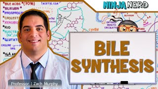 Gastrointestinal  Bile Synthesis [upl. by Valaria]