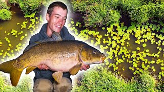 Carp Fishing on the River  an EPIC start to our fishing season [upl. by Roede]