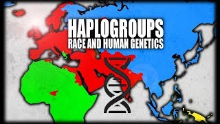 What are Haplogroups Human Genetics Explained [upl. by Matthews]