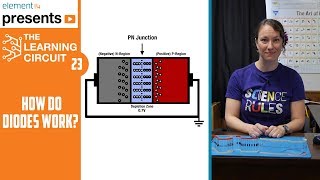 How Diodes Work  The Learning Circuit [upl. by Ennovehc]