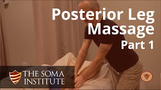 General Posterior Leg Protocol Beginning Massage Techniques Part 1 [upl. by Trinidad]