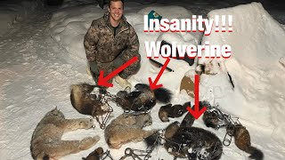 S21Ep7 INSANITY on the Trapline Lynx Marten and Wolverine Trapping [upl. by Idurt]