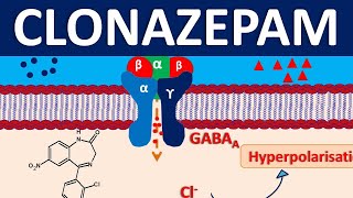 Clonazepam  Mechanism precautions side effects amp uses [upl. by Bogusz]