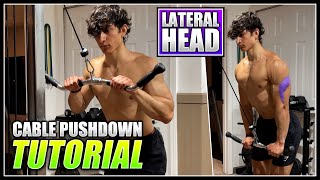 How to do the CABLE TRICEP PUSHDOWN  2 Minute Tutorial [upl. by Havens]