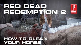 Red Dead Redemption 2 Horseman Challenge 10 Appaloosa [upl. by Ailliw]