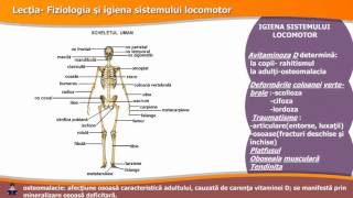 FIZIOLOGIA ȘI IGIENA SISTEMULUI LOCOMOTOR [upl. by Scotney127]