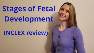 THE STAGES OF FETAL DEVELOPMENT  NCLEX REVIEW [upl. by Bobbie]