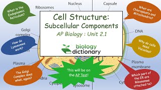 Cell Structure Subcellular Components  AP Biology 21 [upl. by Wunder]