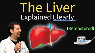 Liver Explained Function Pathology Diseases amp Cirrhosis [upl. by Ultann]