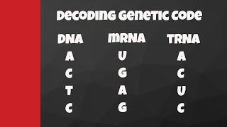 Decode from DNA to mRNA to tRNA to amino acids [upl. by Launce872]