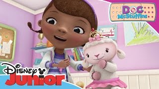 Doc McStuffins  Doc Finds Donny  Official Junior Channel Africa [upl. by Natye]