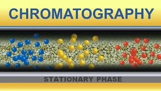 Chromatography Animation IQOGCSIC [upl. by Teerpnam]