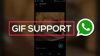 How to Enable GIF support on WhatsApp 😎 [upl. by Haven]