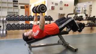 Decline Dumbbell Bench Press  Chest Exercise [upl. by Eiznik]