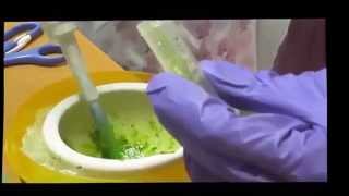 Catalase enzyme assay [upl. by Joris941]