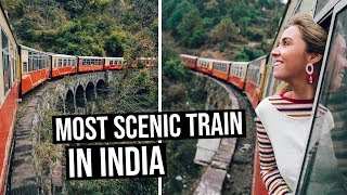 Most Scenic Train Ride in India  Toy Train from Kalka to Shimla [upl. by Nadnarb]