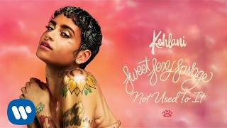 Kehlani – Not Used To It Official Audio [upl. by Nappie704]