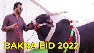 Bakra eid 2022 [upl. by Robbin328]