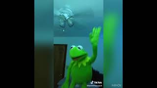 Funny Kermit the frog videos of 2020 Part 8 [upl. by Achilles996]