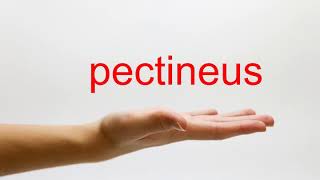 How to Pronounce pectineus  American English [upl. by Tutankhamen]