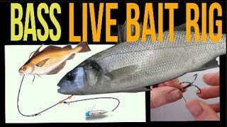 Sea fishing rig guide  Bass Live bait rig [upl. by Dorothi]