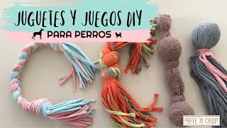 DIY juguetes y juegos para perros [upl. by Asiar364]