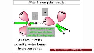 Biochemistry Water PH and Buffers Part 1 tutorial [upl. by Jonny]