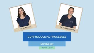 MOR104  Morphological Processes [upl. by Leler]