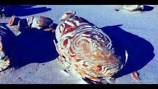 Cracked Eggs in Bisti New Mexico [upl. by Ennovyhs502]