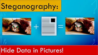 Steganography Find hidden data in pictures and other files [upl. by Nahaj]