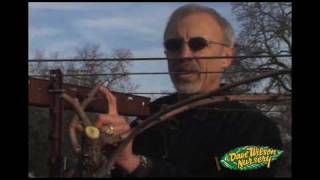 How To Prune Grapes Cane Type [upl. by Eydnarb]