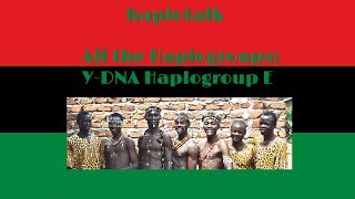 All the Haplogroups Y DNA Haplogroup E E0019 [upl. by Alaekim]