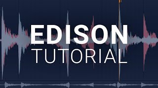 How To Use The Edison  FL Studio Tutorial [upl. by Bramwell205]