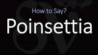 How to Pronounce Poinsettia CORRECTLY [upl. by Moina371]