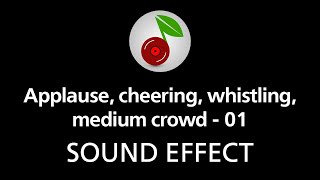 🎧 Applause cheering whistling medium crowd  01 SOUND EFFECT [upl. by Wenn]