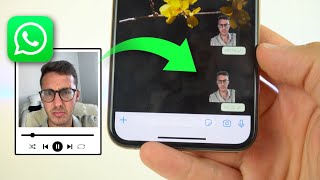 Crear STICKERS ANIMADOS en WhatsApp fácil y sin fondo ✅ [upl. by Esyli61]