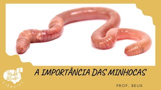 A IMPORTÂNCIA DAS MINHOCAS [upl. by Candide424]