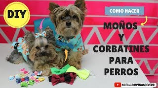 Como hacer moños y corbatines para perros  DIY Mascotas [upl. by Norvil500]