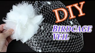 DIY Birdcage Bridal Veil [upl. by Aerbua848]