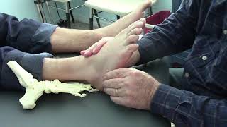 Physical Therapy How to Treat Outside Foot Pain in Cuboid Joint [upl. by Blackmore842]