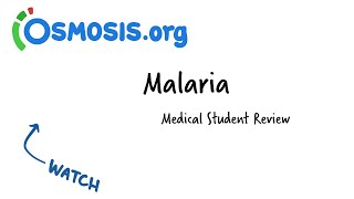 Malaria  Osmosis Study Video [upl. by Adnal]