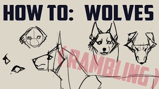 How to draw wolves basics me rambling [upl. by Marie]