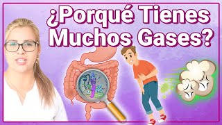 Porqué Tienes Muchos Gases  Causas Y Enfermedades Que Producen Pedos Y Flatulencias A Diario [upl. by Neile]