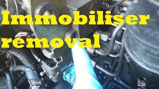 HOW TO Immobiliser removal Peugeot Citroen XUD turbo diesel [upl. by Hermie945]