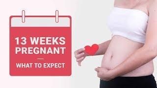 13 Weeks Pregnant  What to Expect [upl. by Nylorahs]