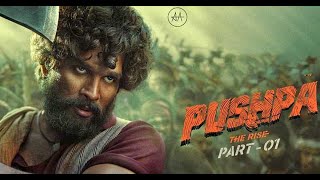 Pushpa The Rise  Part 1 Full Movie In Hindi pushpapushparaj [upl. by Nolrac]