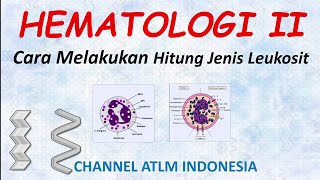 16 Hematologi Cara Melakukan Hitung Jenis Leukosit Diff Count [upl. by La Verne]