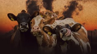 LIBERTAÇÃO ANIMAL VEGANISMO POPULAR E ECOSSOCIALISMO [upl. by Uoliram]